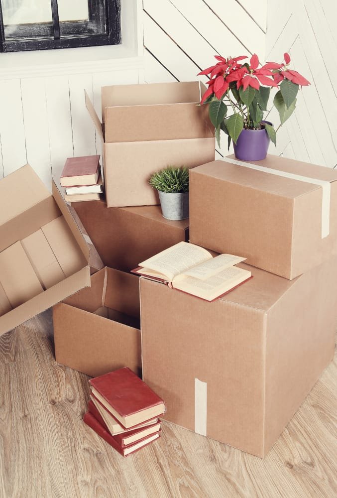 بسته بندی ویژه بسته بندی ویژه